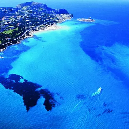 Giglio *